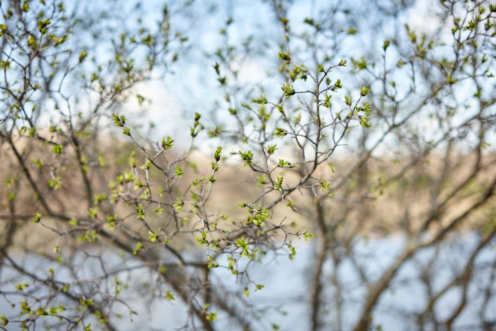 Photograph by Борис Максимов