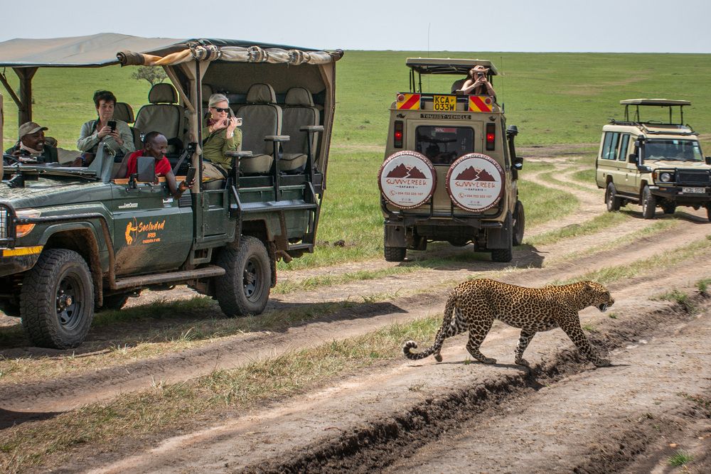 Photograph by Наталья Кокорина
