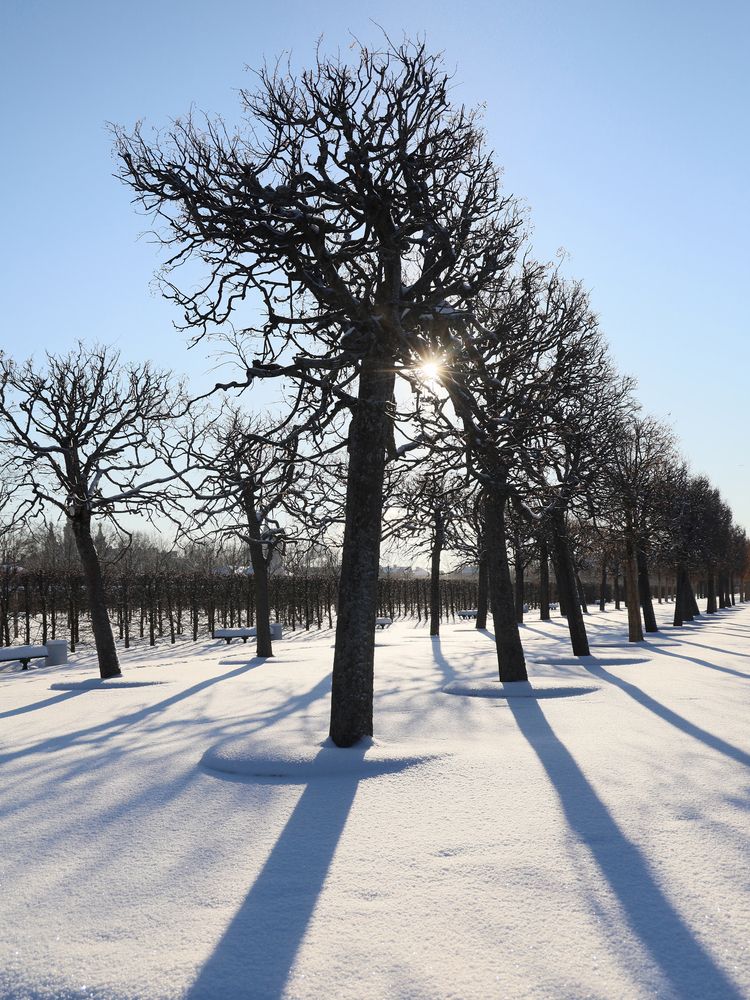 Photograph by Марианна Браун