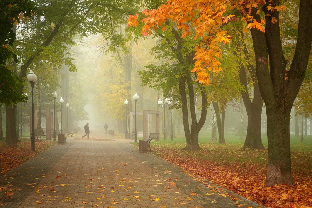 Photograph by Вячеслав Коробов