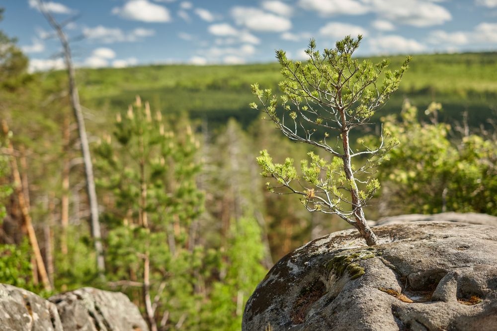 Photograph by Борис Максимов