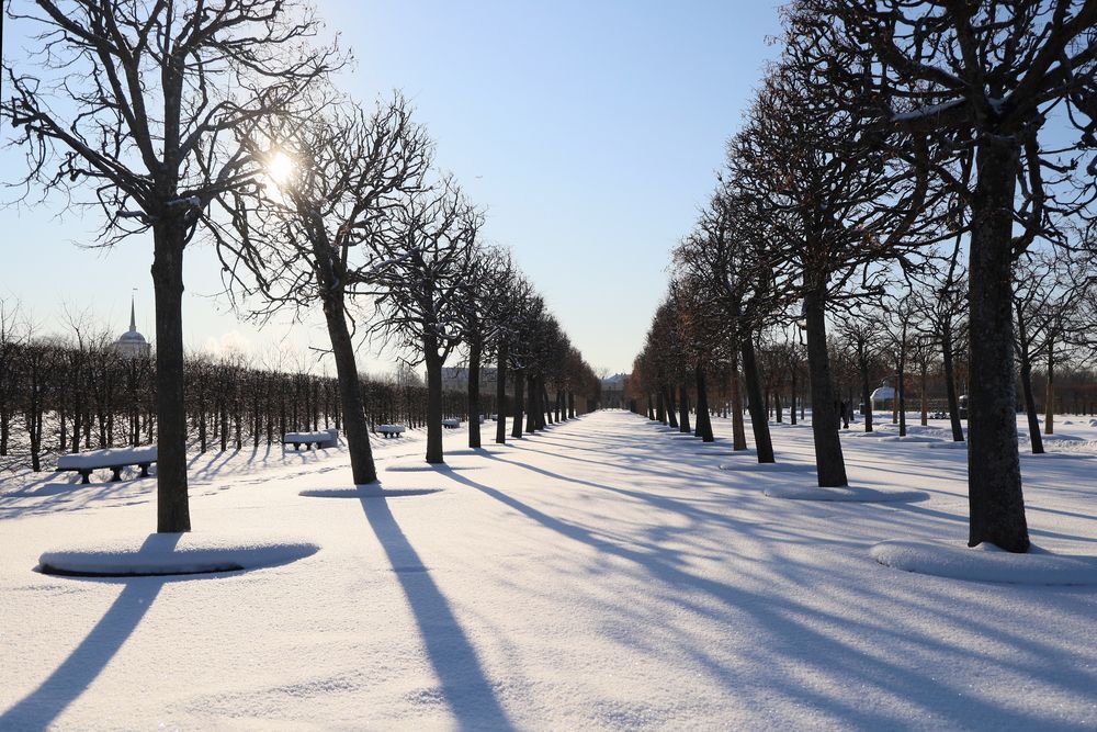 Photograph by Марианна Браун