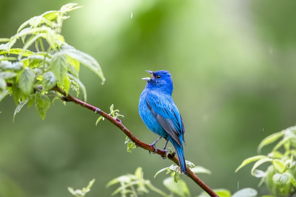 Photograph by Zhenhuan Zhou