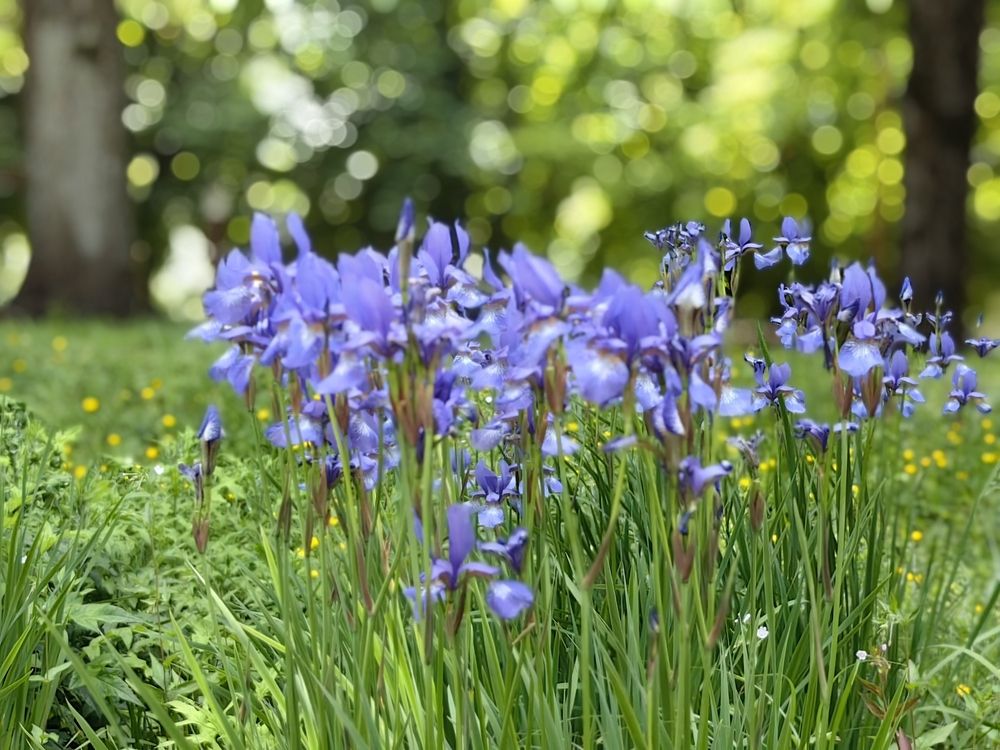 Photograph by Evgeniia Iakimenko