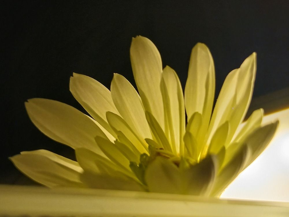 Photograph by Naran-Undrakh Baatar