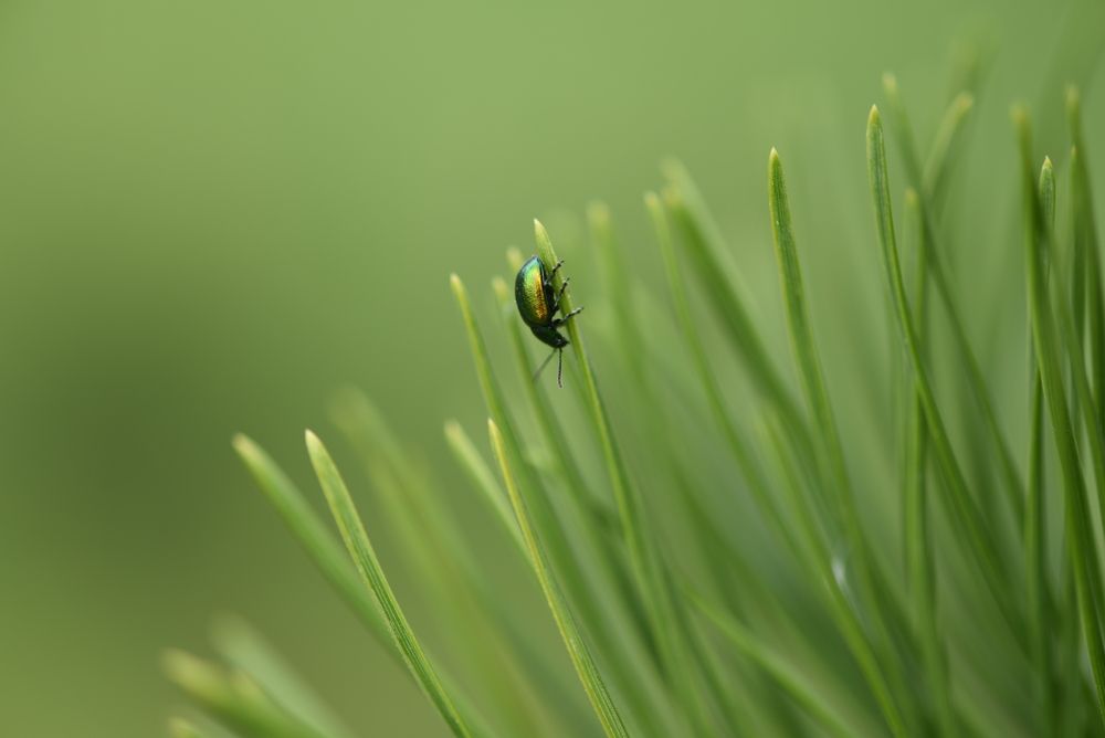 Photograph by Виктория Кос
