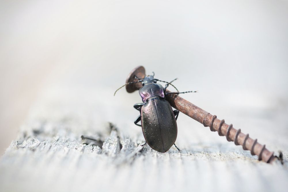 Photograph by Виктория Кос