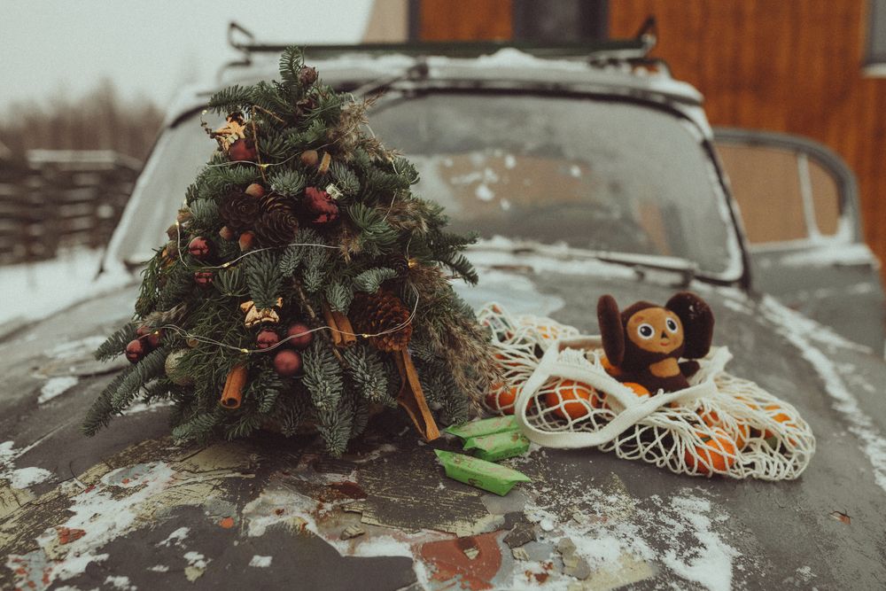 Photograph by Екатерина Губа