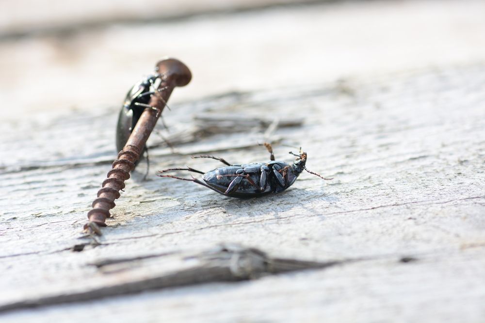 Photograph by Виктория Кос