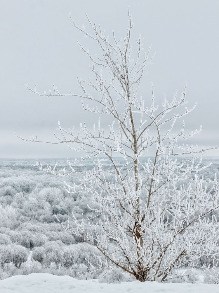 Фотография автора Евгения Никишина