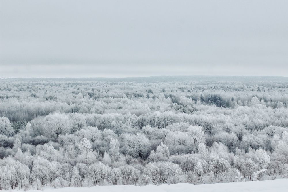 Фотография автора Евгения Никишина