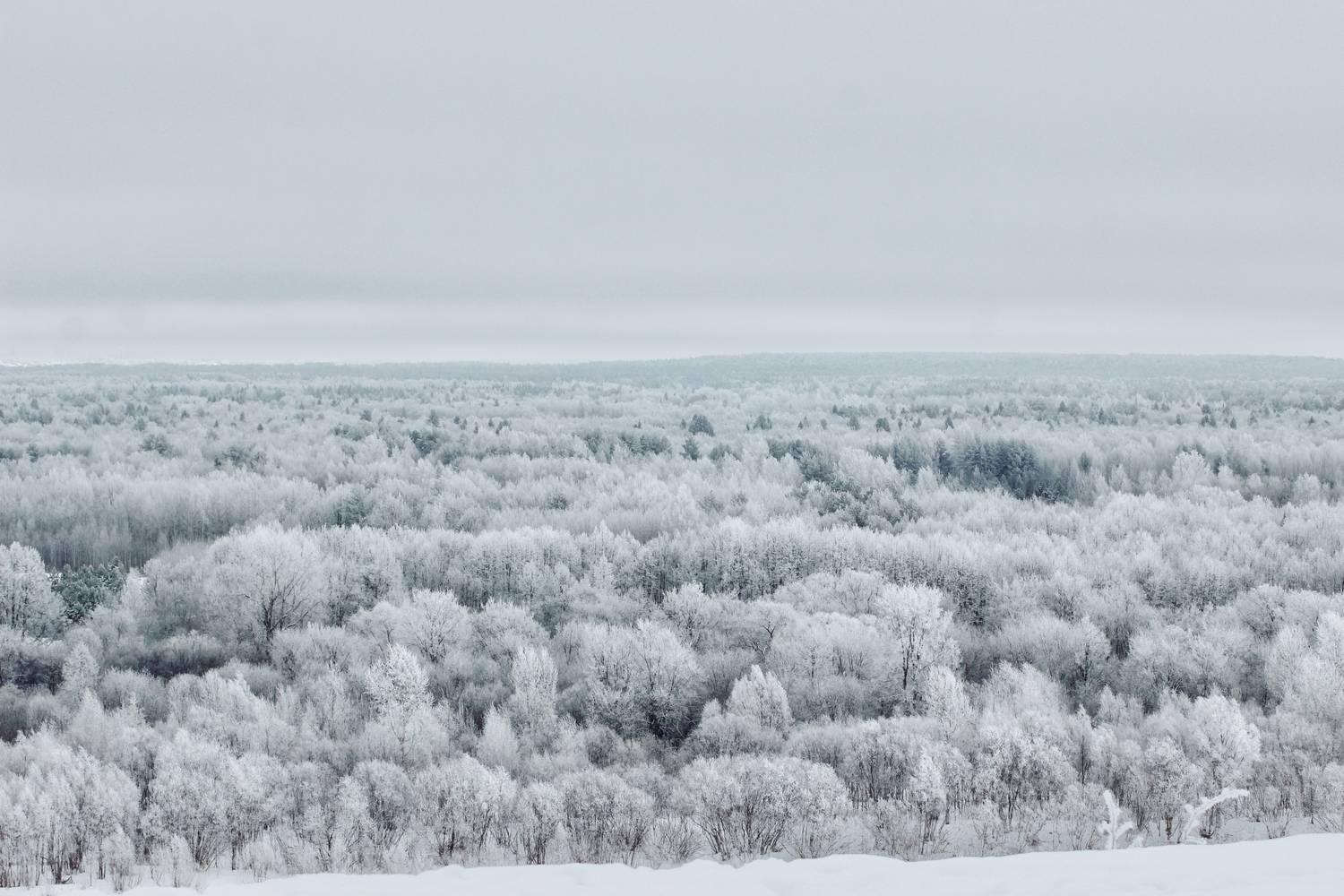 Фотография #13188752