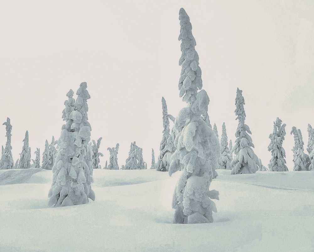 Фотография автора Евгения Никишина