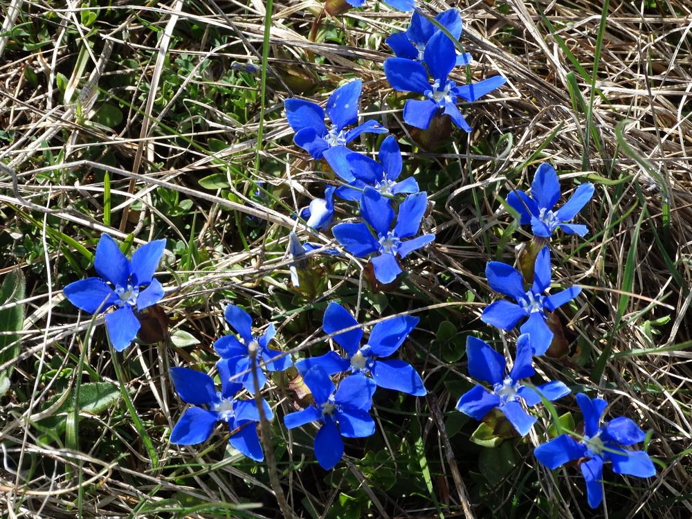 Фотография автора Ivan Ćetković