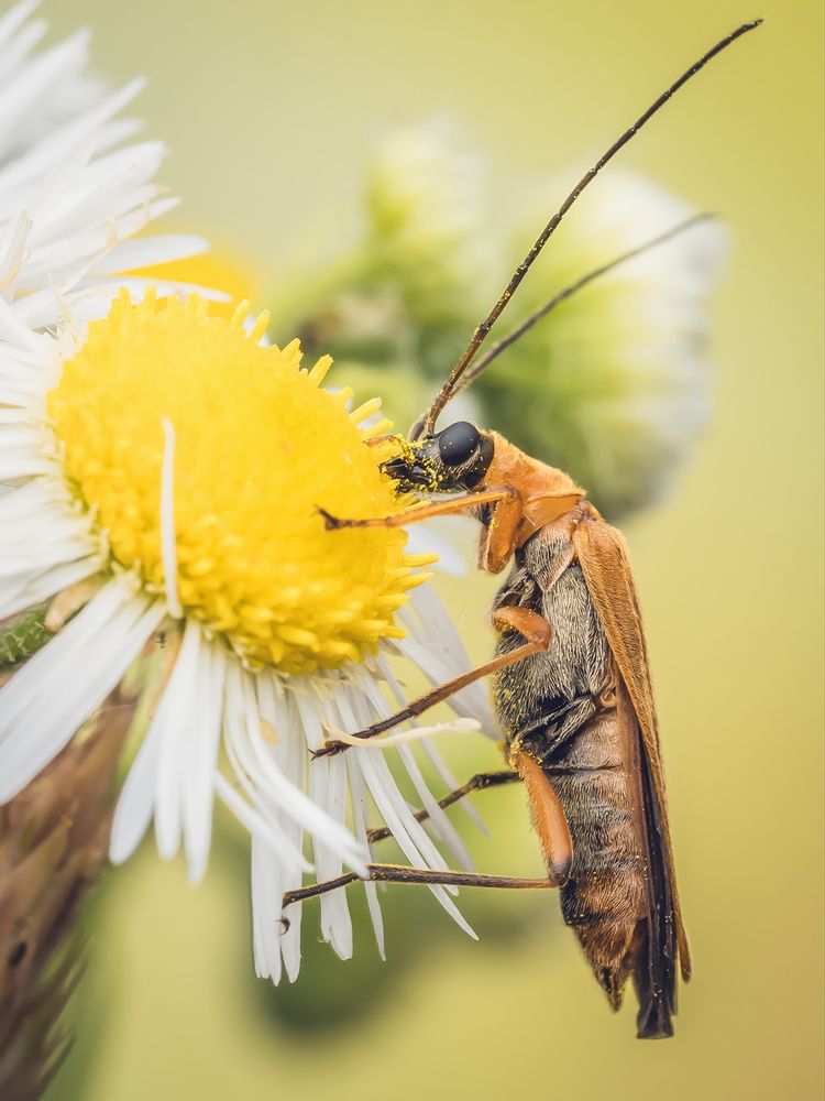 Photograph by Szabó Gergő
