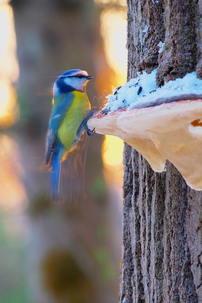 Photograph by Владимир Кирсанов