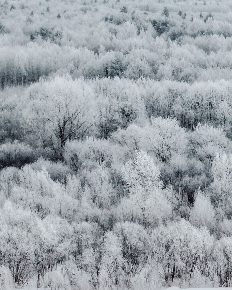 Фотография автора Евгения Никишина