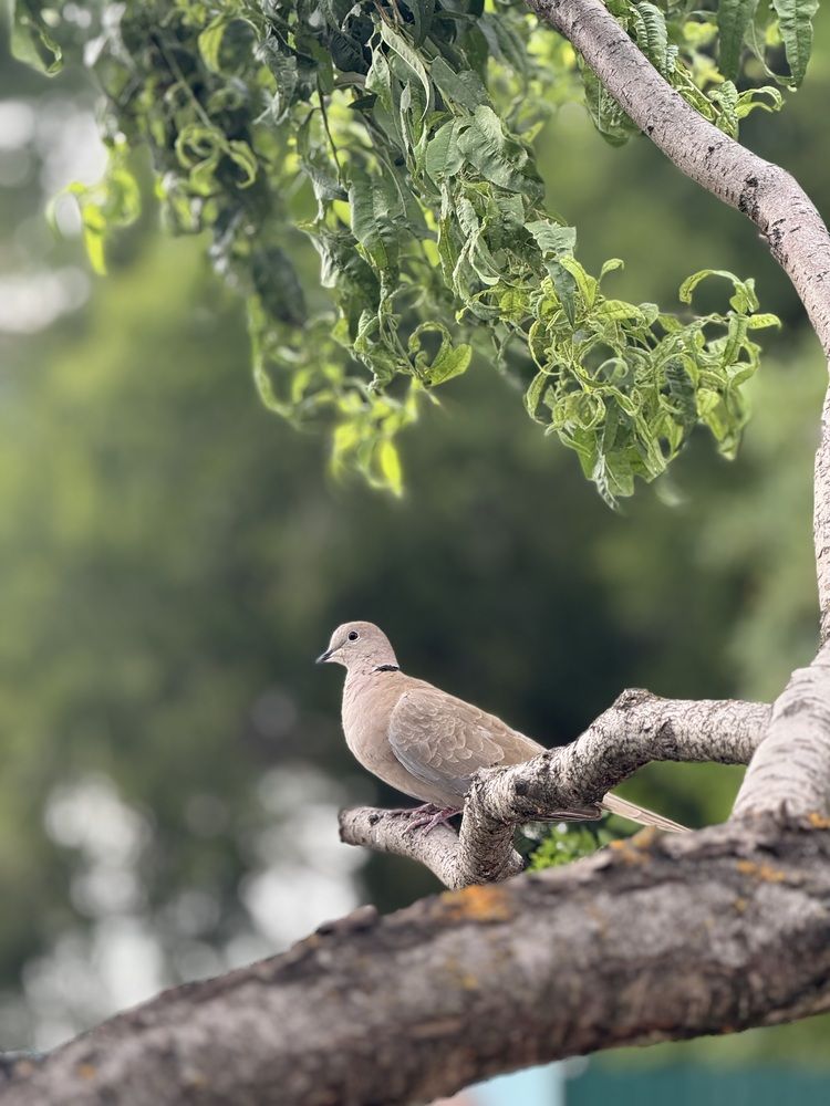 Photograph by Бойкова Наталия