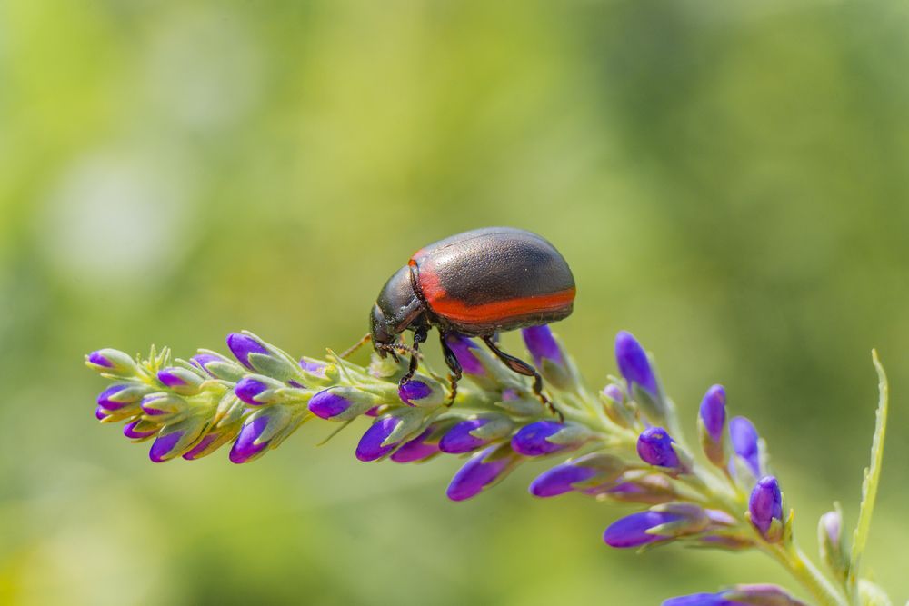 Photograph by Елена