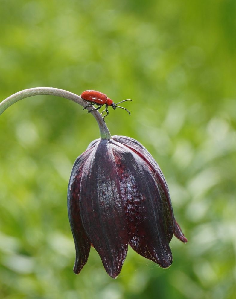 Photograph by Елена