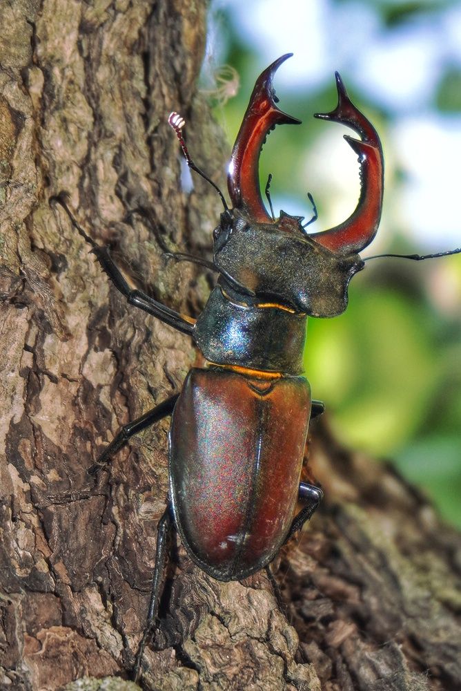 Photograph by Елена