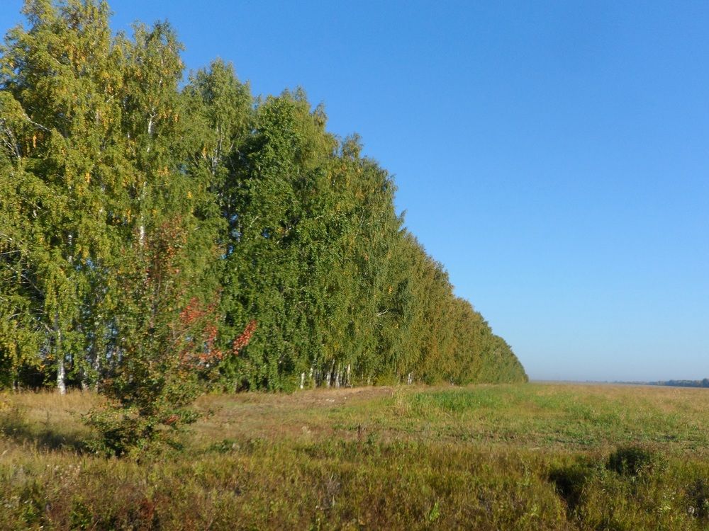 Photograph by Татьяна Иваненкова