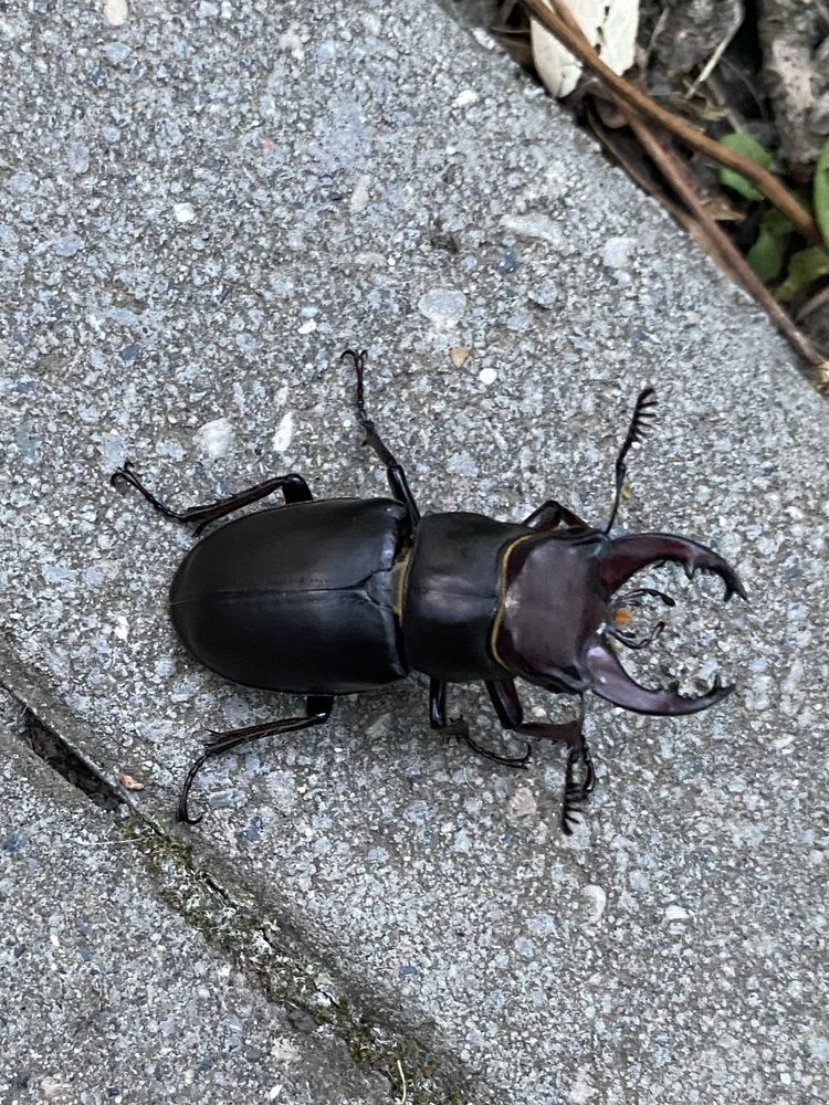 Photograph by Алиса Лукина