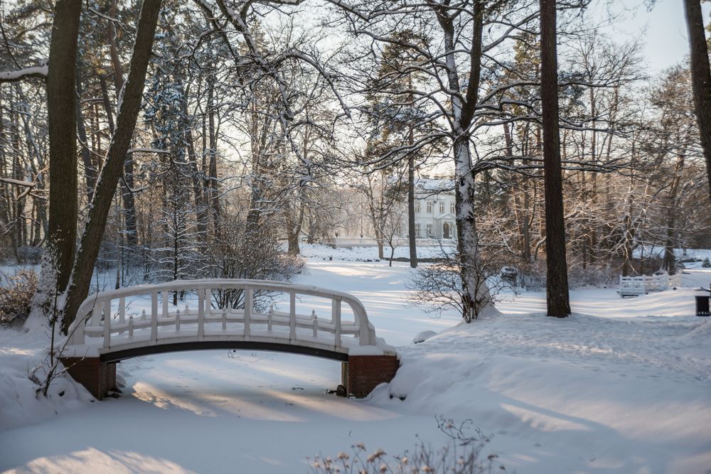 Photograph by Kristina Nutautiene