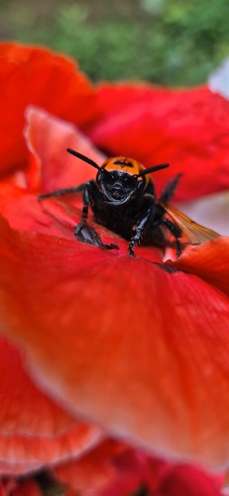 Photograph by Ольга Мусина