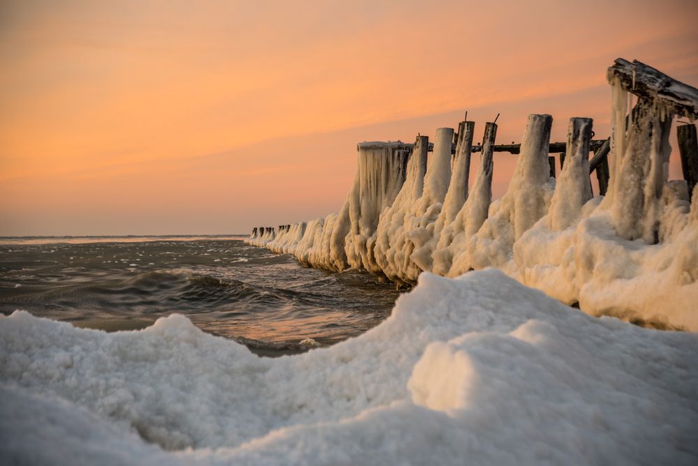 Photograph by Kristina Nutautiene