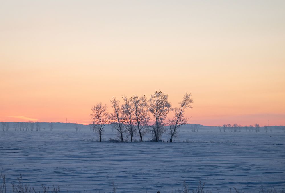 Фотография автора Тарас Махринский