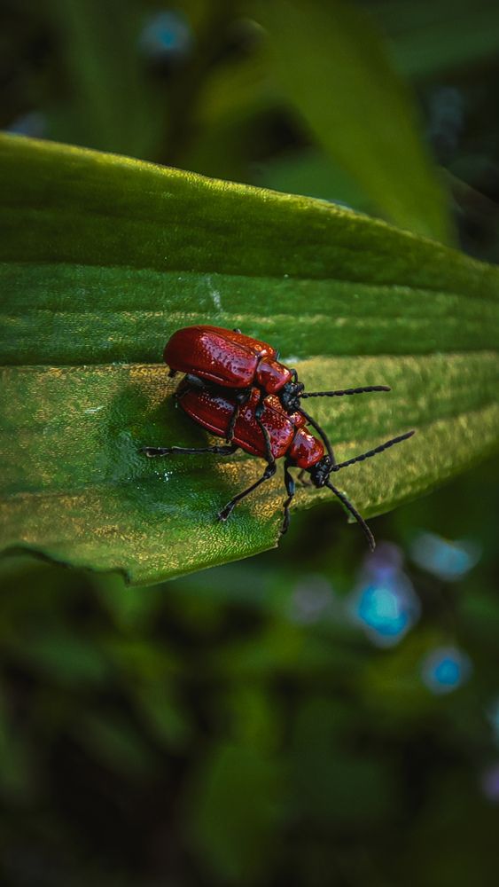 Photograph by Екатерина Никитина