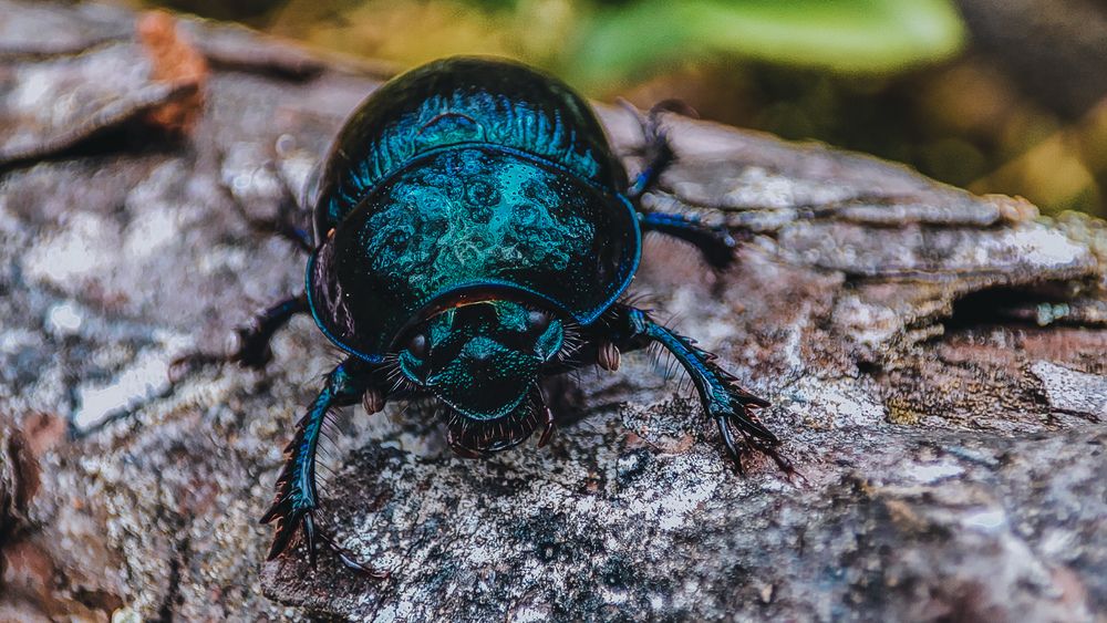 Photograph by Екатерина Никитина