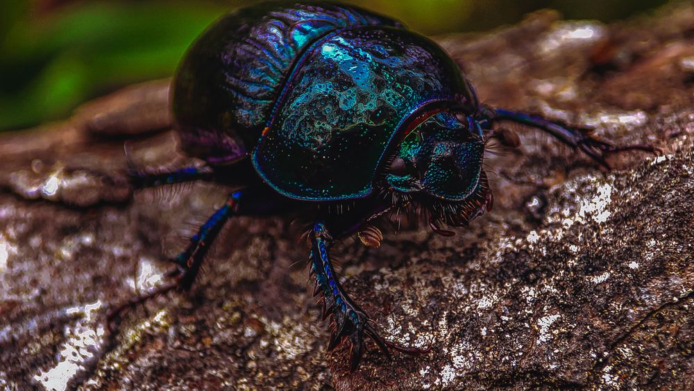 Photograph by Екатерина Никитина