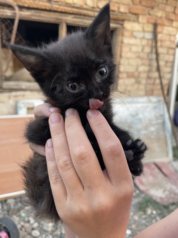 Photograph by Дарья Ларченко