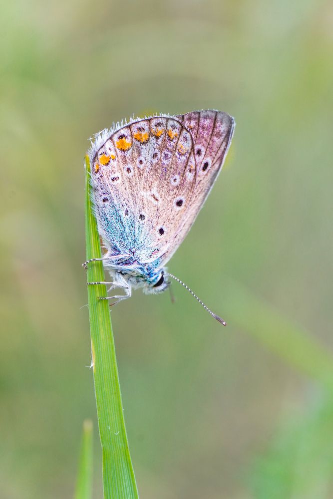 Photograph by Елена