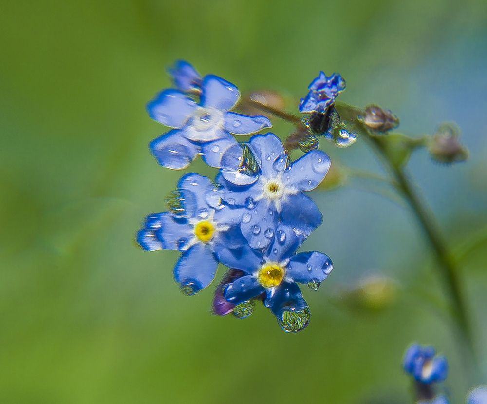 Фотография автора владислав завадич