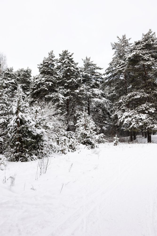 Photograph by Юлия Шевцова