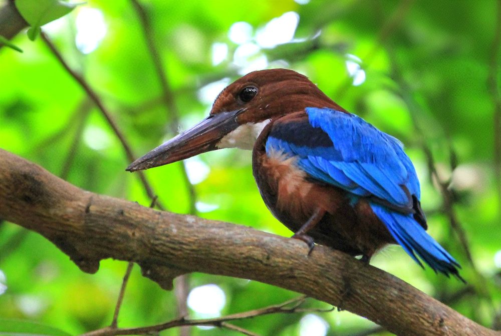 Фотография автора Ser P