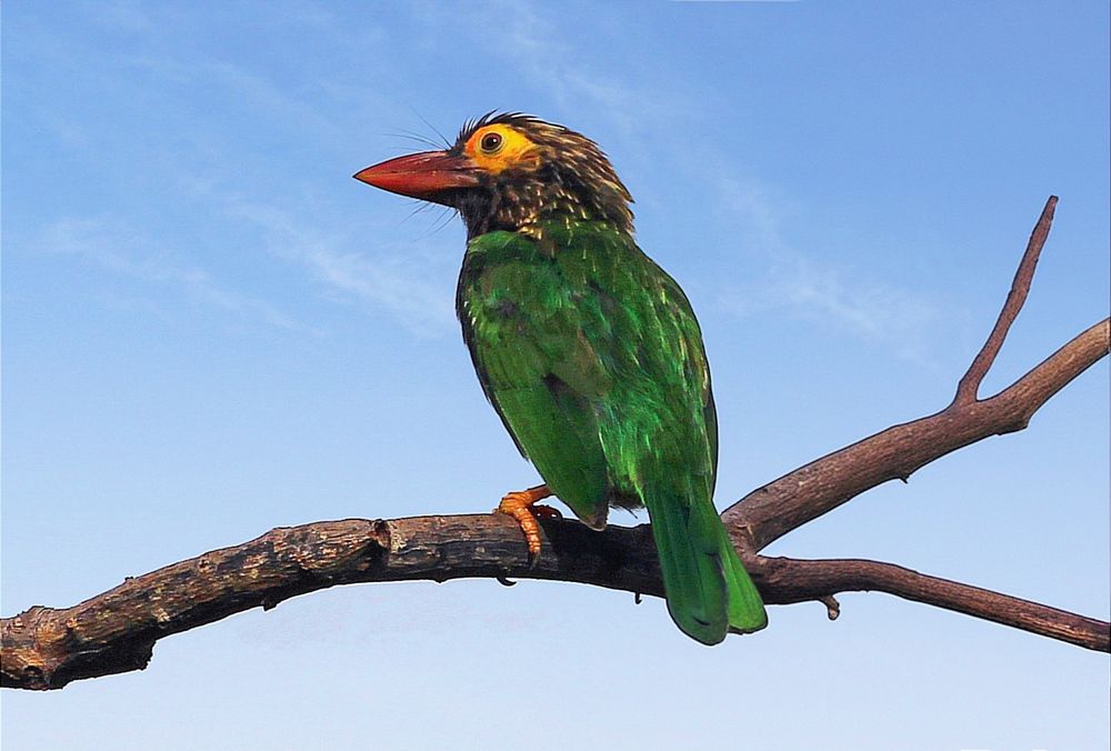 Фотография автора Ser P