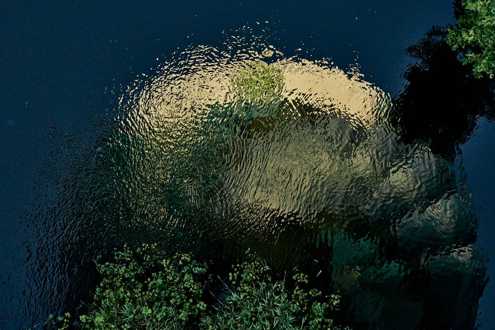 Photograph by Yuli Lerou