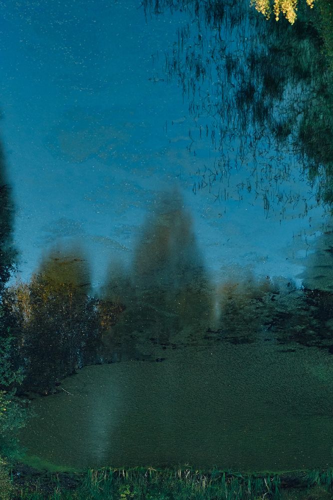 Photograph by Yuli Lerou