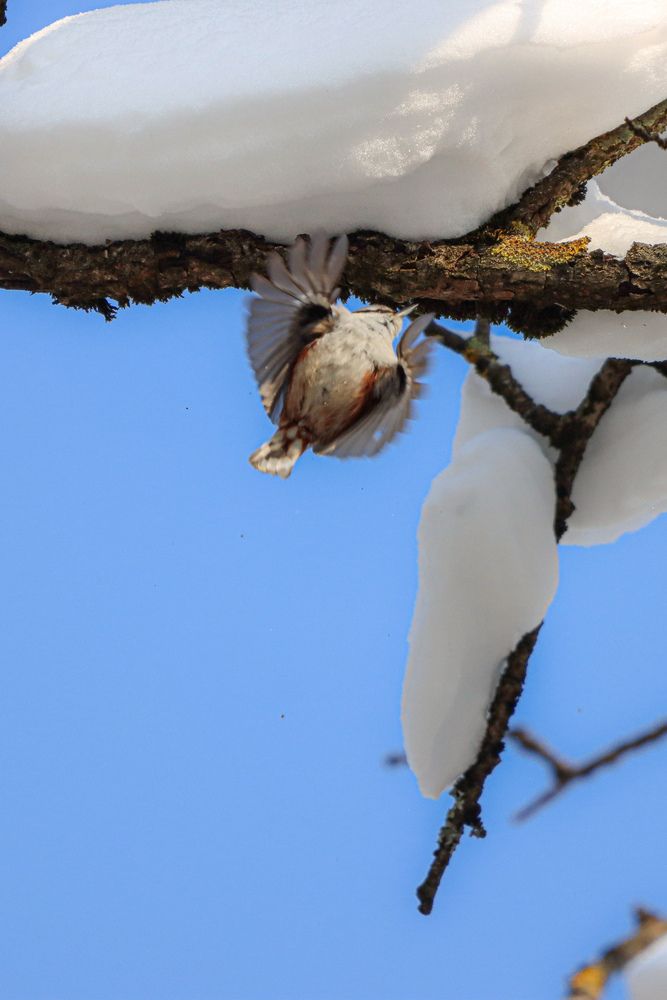 Photograph by Аня Проскурякова