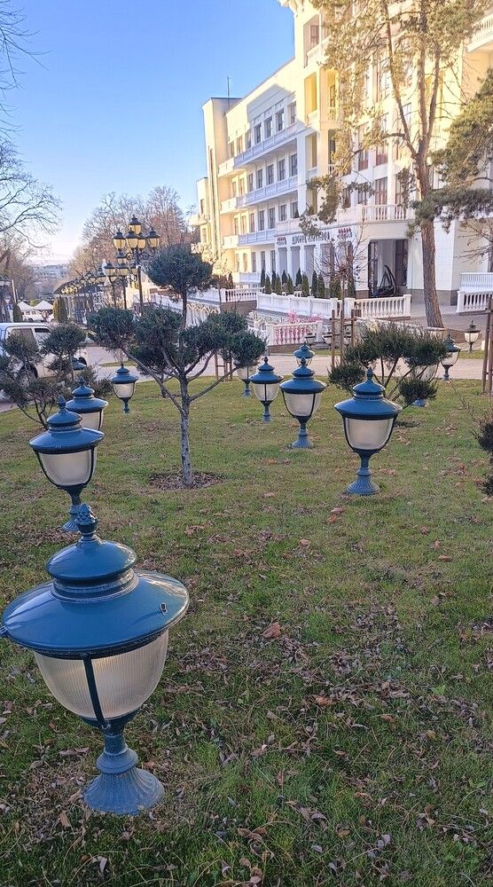 Фотография автора Елена Александрова