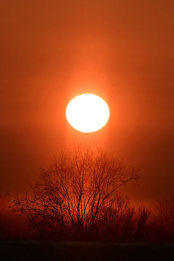 Photograph by Егор Жук