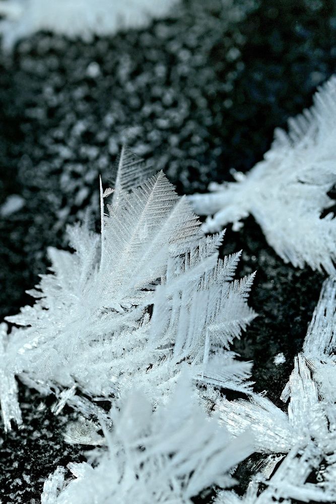 Photograph by Егор Жук