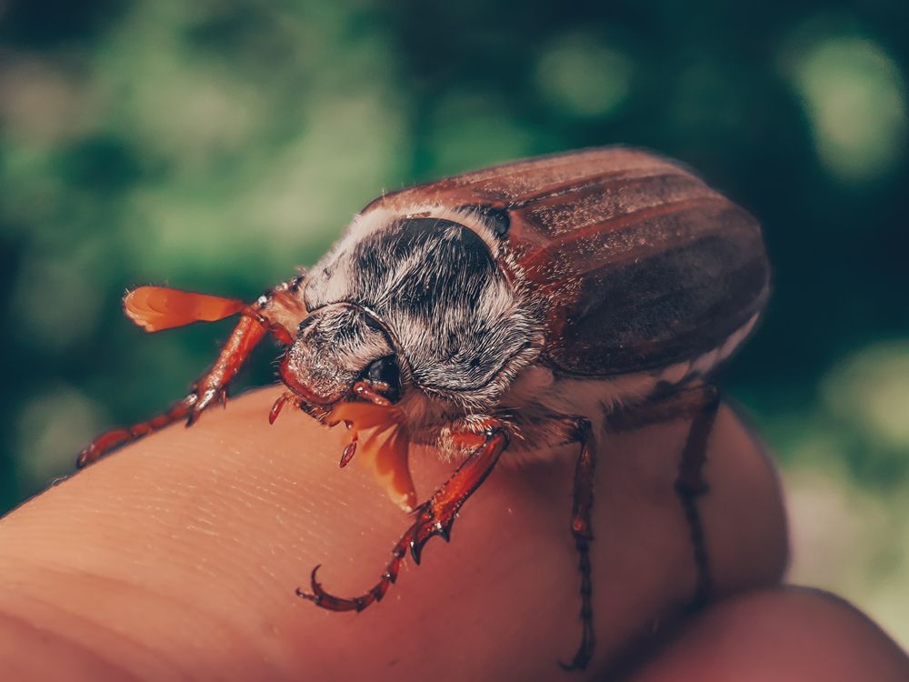 Фотография автора Лена Гром