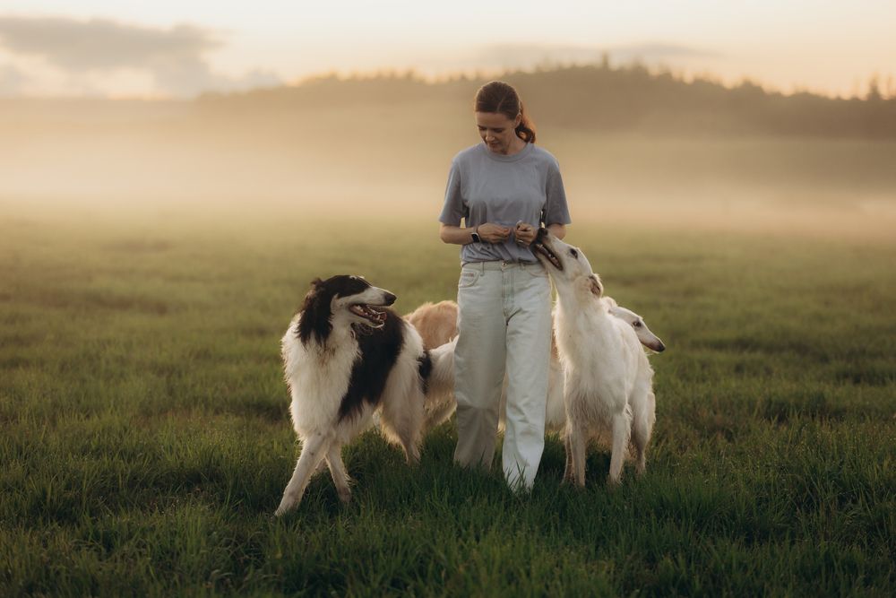 Photograph by Анастасия Чернявская