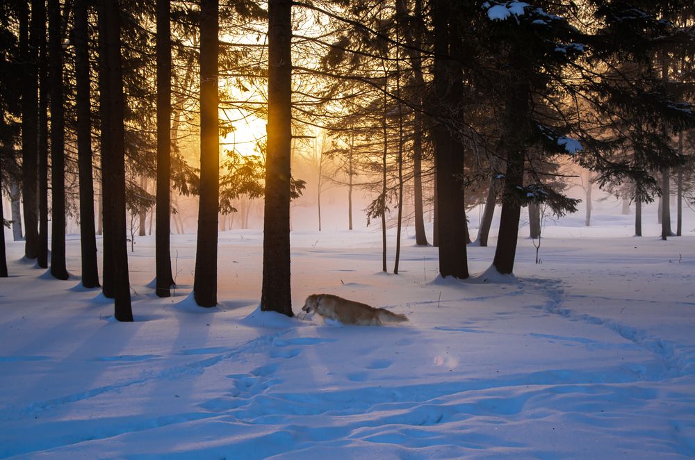 Photograph by Gennadiy Slezkin