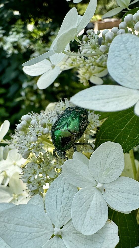 Photograph by Ольга Бибекина